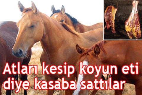At etini, koyun eti diye sattılar