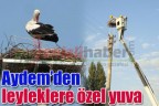 Aydem’den leyleklere özel yuva