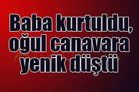 Baba kurtuldu, oğul canavara yenik düştü