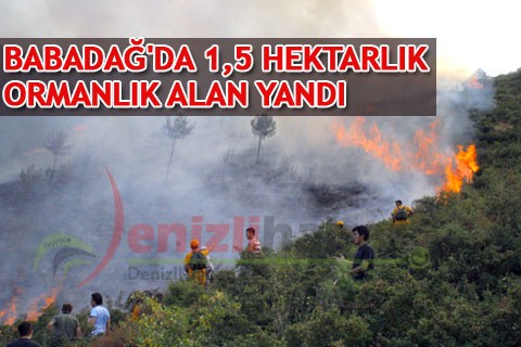 Babadağ’da 1,5 hektarlık ormanlık alan yandı