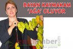 Bayan Kaymakam ‘Ağa’ oluyor