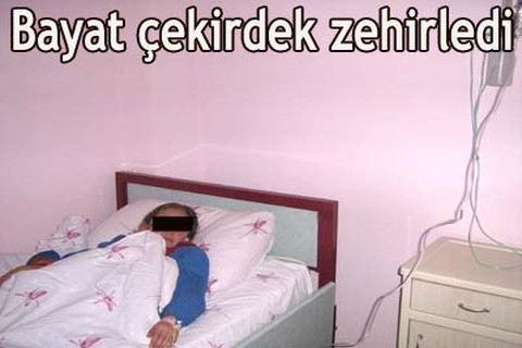 Bayat çekirdek zehirledi