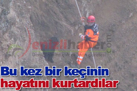 Bu kez bir keçinin hayatını kurtardılar