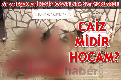 CAİZ MİDİR HOCAM?