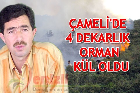 Çameli’de 4 dekarlık orman kül oldu