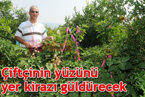 Çiftçinin yüzünü yer kirazı güldürecek