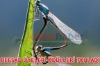 DEFSAD ÜYELERİ ÖDÜLLERİ TOPLADI