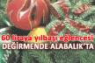 60 liraya yılbaşı eğlencesi!