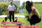 Denizli Horozu’nu Karadenizliler de çok seviyor