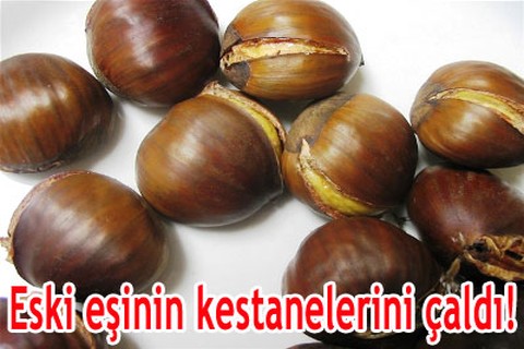 Eski eşinin kestanelerini çaldı!