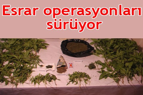 Esrar operasyonları sürüyor