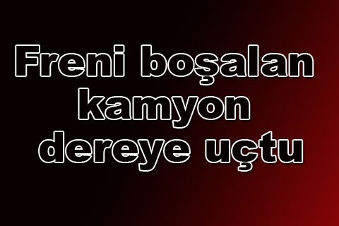 Freni boşalan kamyon dereye uçtu