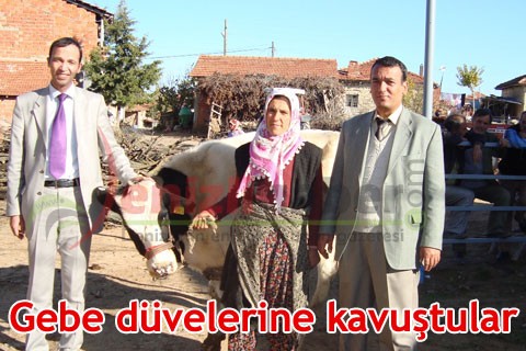 Gebe düvelerine kavuştular