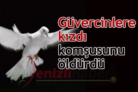 Güvercinlere kızdı komşusunu öldürdü
