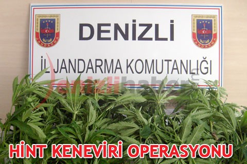 HİNT KENEVİRİ OPERASYONU