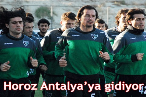 Horoz Antalya’ya gidiyor