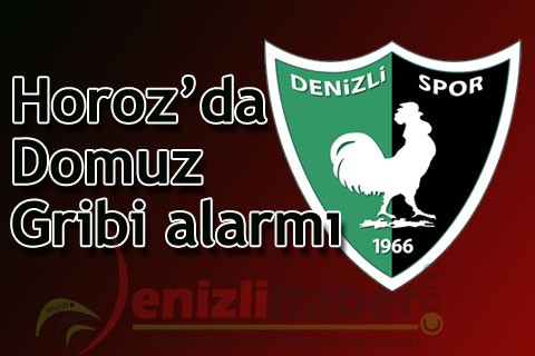 Horoz’da Domuz Gribi alarmı