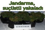 Jandarma, suçüstü yakaladı