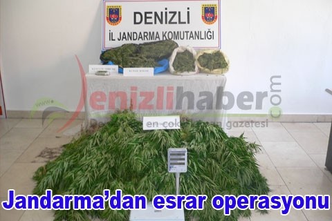 Jandarma’dan esrar operasyonu