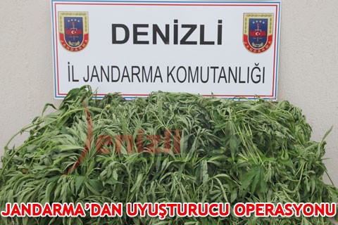 JANDARMA’DAN UYUŞTURUCU OPERASYONU