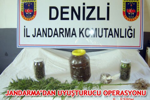 JANDARMA’DAN UYUŞTURUCU OPERASYONU