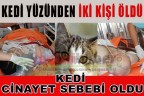 Kedi yüzünden iki kişi öldü