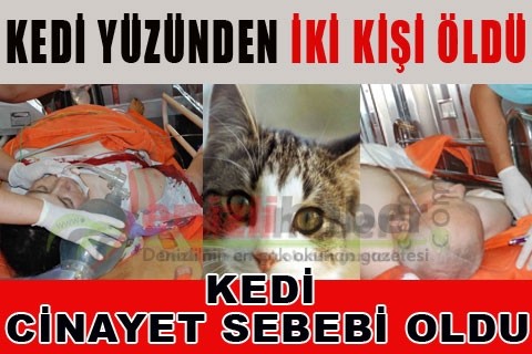 Kedi yüzünden iki kişi öldü
