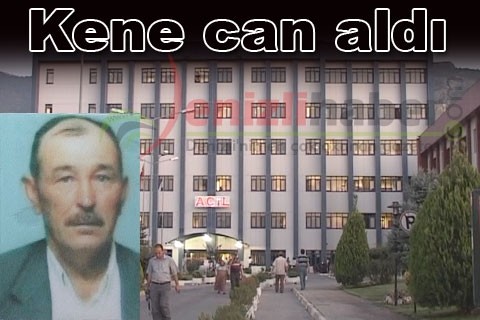 Kene can aldı