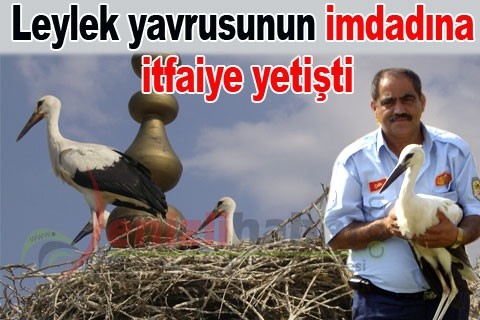 Leylek yavrusunun imdadına itfaiye yetişti