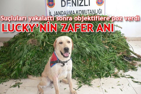 LUCKY’NİN ZAFER ANI