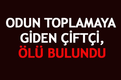 ODUN TOPLAMAYA GİDEN ÇİFTÇİ, ÖLÜ BULUNDU