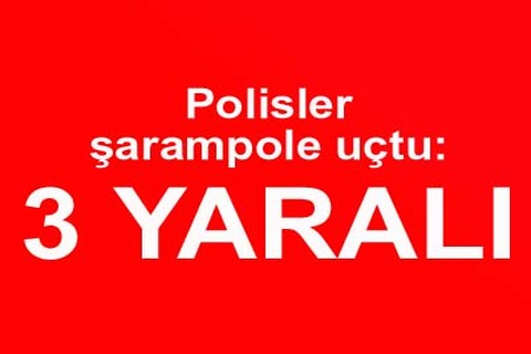 Polisler şarampole uçtu