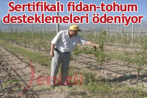 Sertifikalı fidan-tohum desteklemeleri ödeniyor