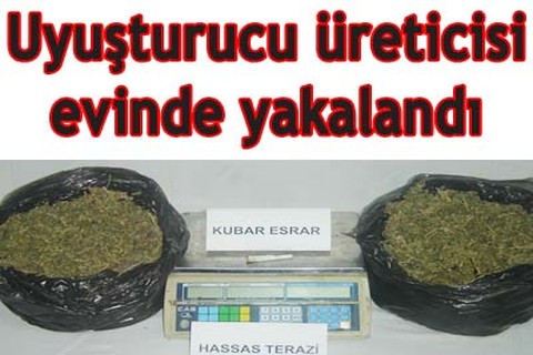 Uyuşturucu üreticisi evinde yakalandı