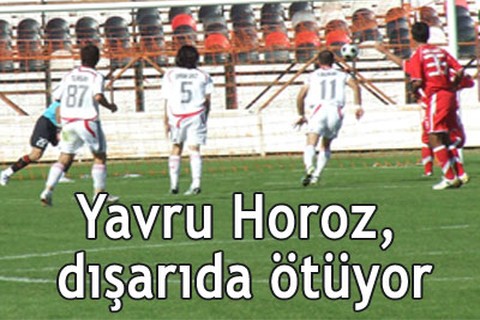 Yavru Horoz, dışarıda ötüyor