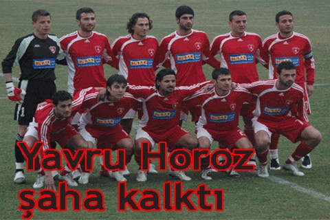 Yavru Horoz şaha kalktı