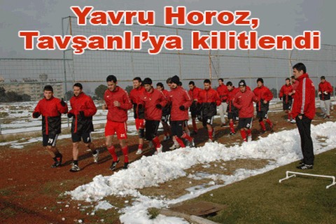 Yavru Horoz, Tavşanlı’ya kilitlendi