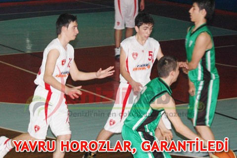 YAVRU HOROZLAR, GARANTİLEDİ