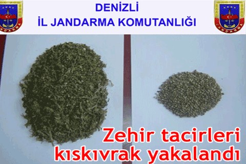 Zehir tacirleri yakalandı