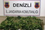 Jandarmadan zehir operasyonu 5 gözaltı