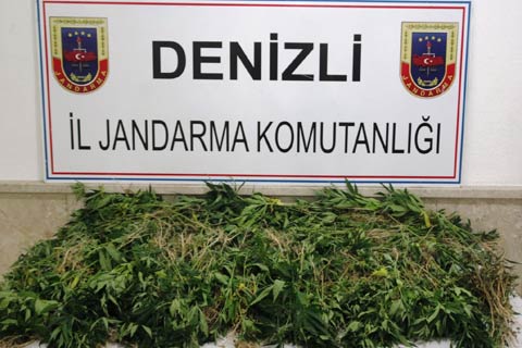 Jandarmadan zehir operasyonu 5 gözaltı