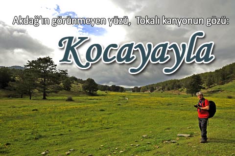 denizli-kocayayla-zeki-akakca-h