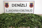 Jandarma’dan uyuşturucu operasyonu