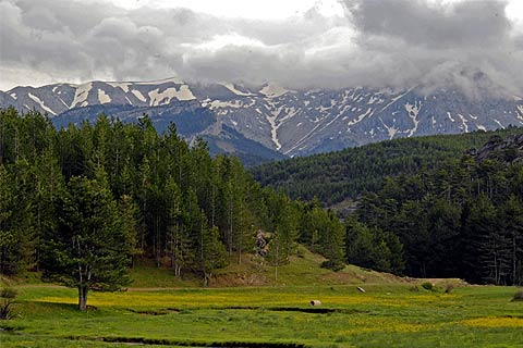kocayayla-manzara
