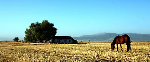 ovadan-daglara-vadilere-nehirlere-caylara-bir-yol-hikayesi-1