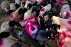 Denizli Belediyesi Fotoğraf yarışması sonuçlandı