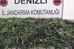 Üç ayrı operasyon 5 gözaltı
