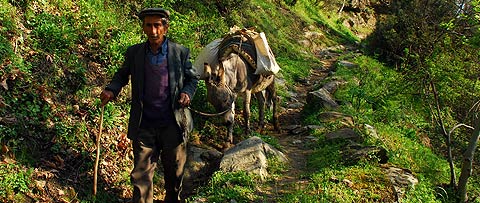 altindere-at