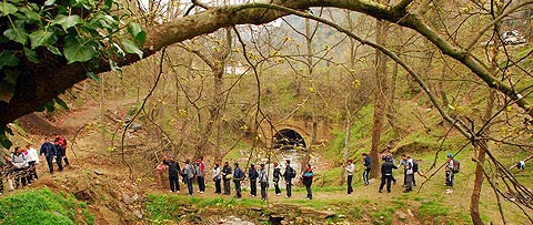 altindere-kopru