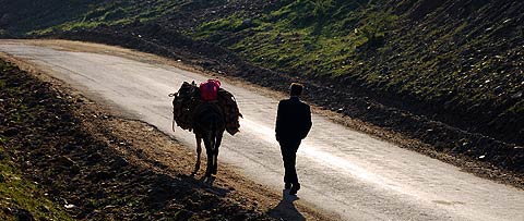 altindere-yol-esek